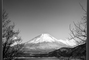 Fuji,Winter,gallery 