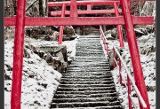Nagano,Winter,gallery,snow